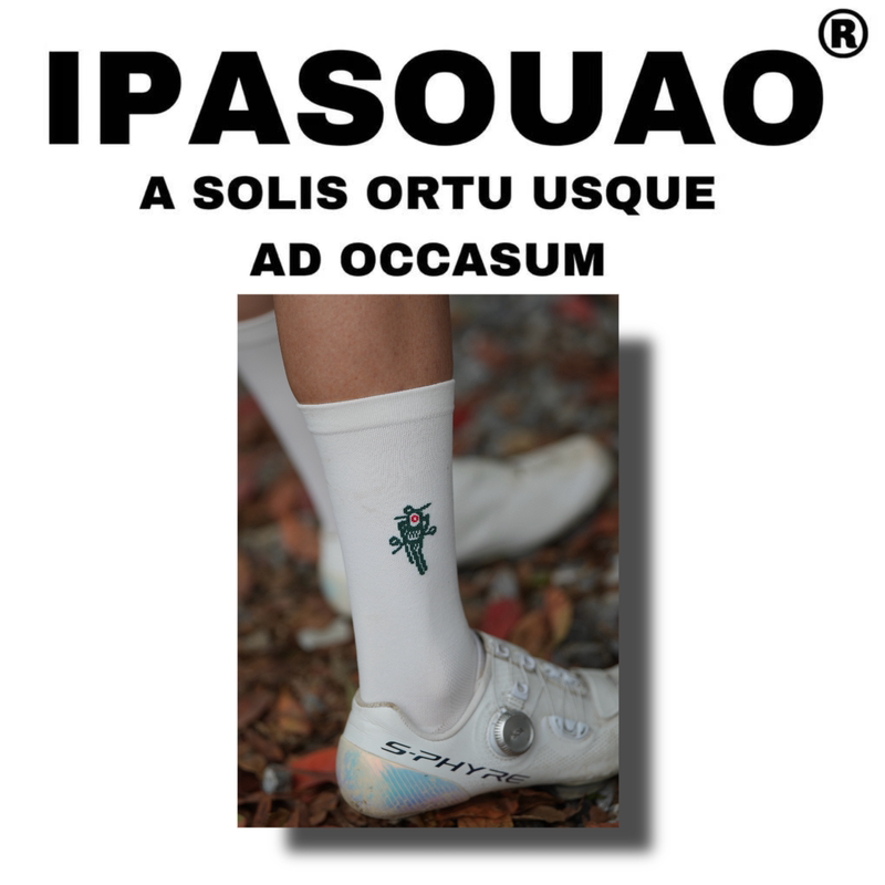 Ipa2550Pro: Professional Cycling Socks 2.0 | Sports Socks Quick-Drying, Sweat-Absorbent, Breathable for All Seasons, High-End Creative White