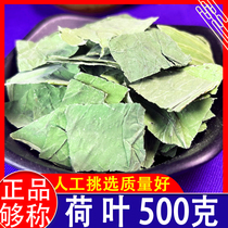 Lotus leaf fresh lotus leaf dried lotus leaf lotus leaf tea lotus leaf soaked in water lotus leaf soaked in water winter melon lotus leaf tea herbal tea
