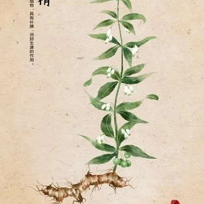 九华黄精坊