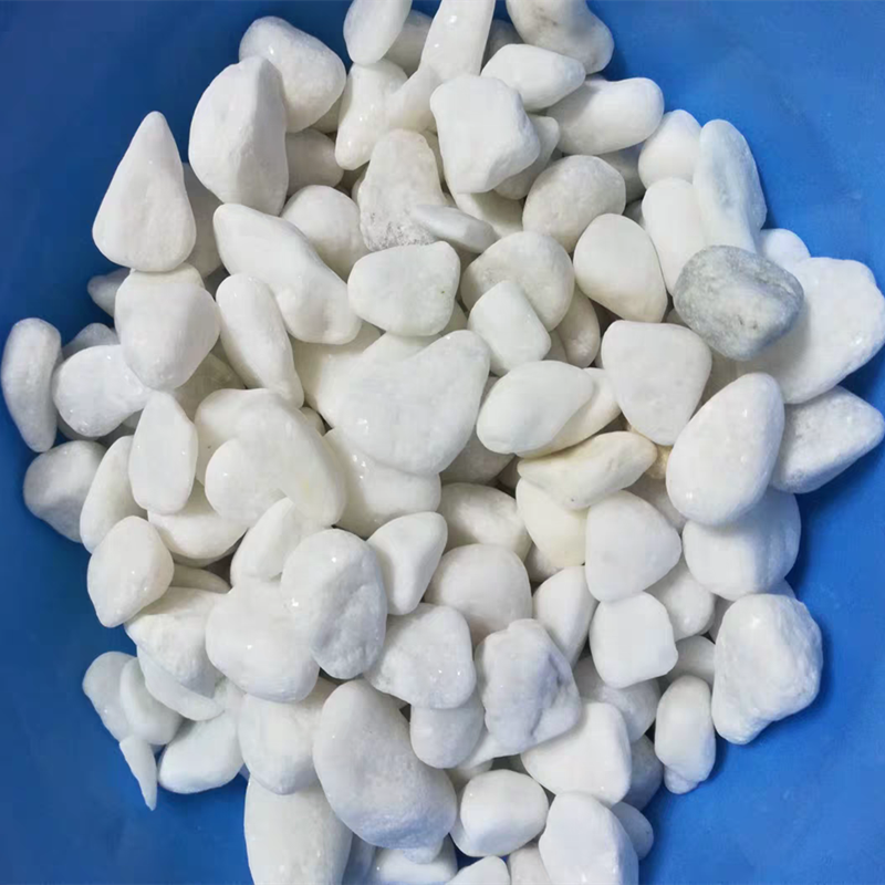 Pebble natural small stone rain flower stone white small stone white stone flower pot potted succulent decorative paving stone