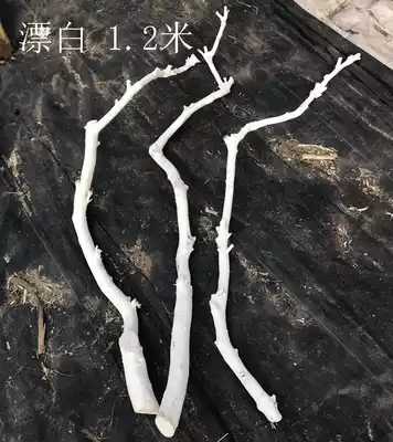 Natural dry branch keel rod dry branch Golden dry tree shape dry branch Real tree dry branch dry flower home decoration