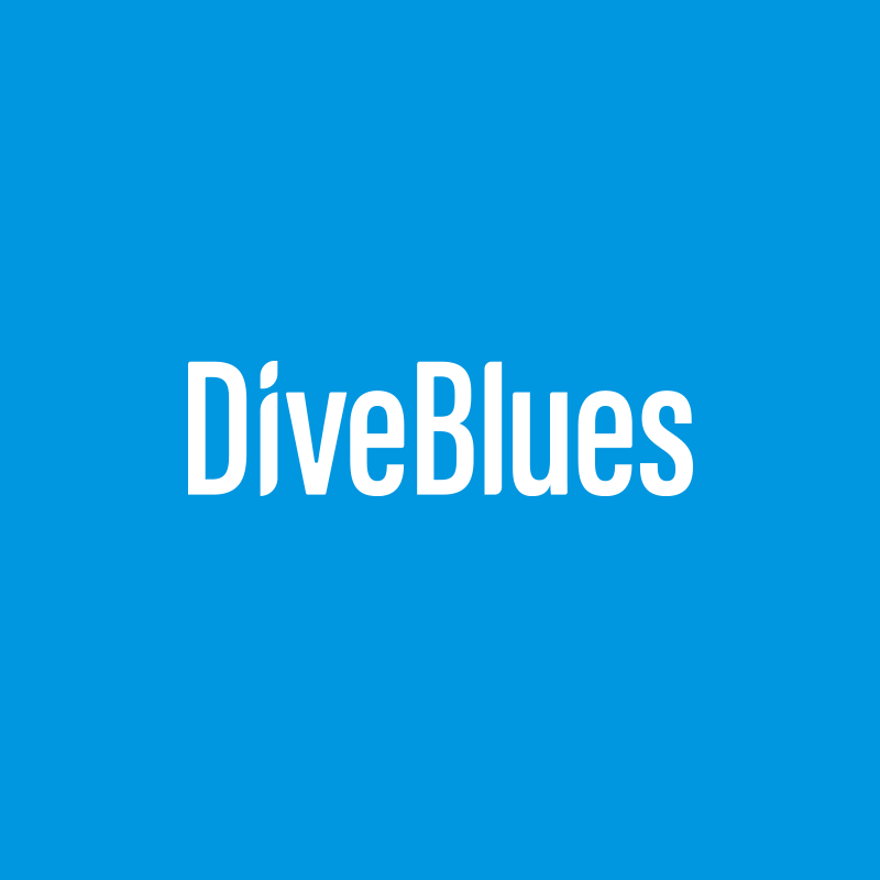 DiveBlues工厂店