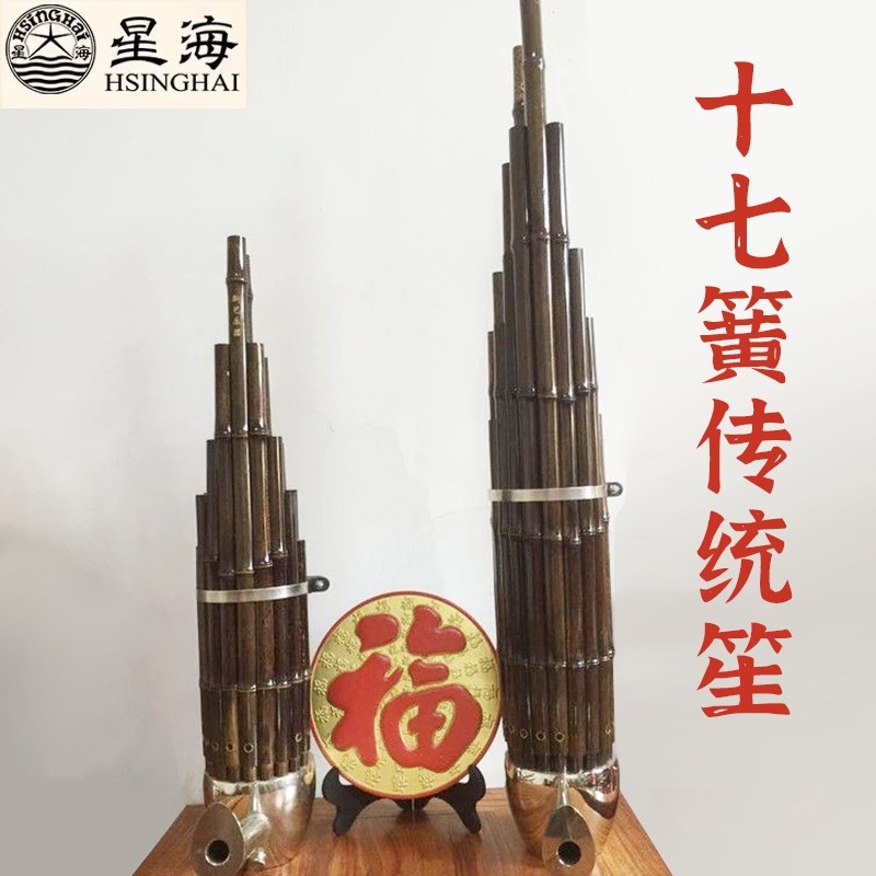 星海精致17簧传统笙,初学者适合吗?有哪些特点和选购要点?-笙-淘宝好物网