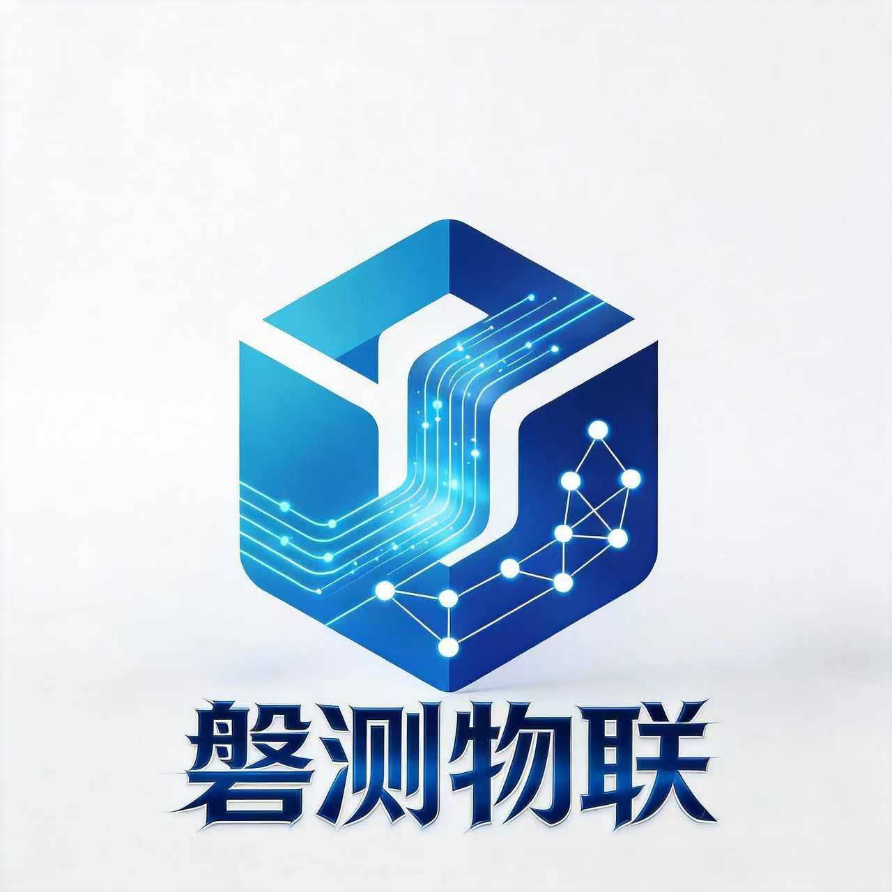 中国城市生命线仪器仪表企业店的LOGO