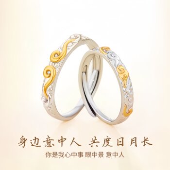 Couple Rings for Lovers, a Pair of Open Rings, Niche Design Rings, Tail Rings, Birthday Gifts for Best Friends, Men and Women