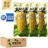 【农投】糯玉米280-350g*8棒整箱劵后15.9元包邮