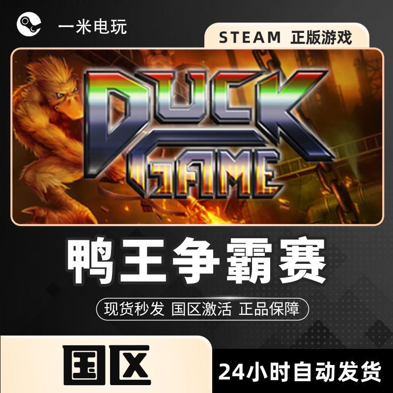 Duck Game: Duck King Contest - China Region Steam Official Pc Version - Fun Competition - Pixel Graphics