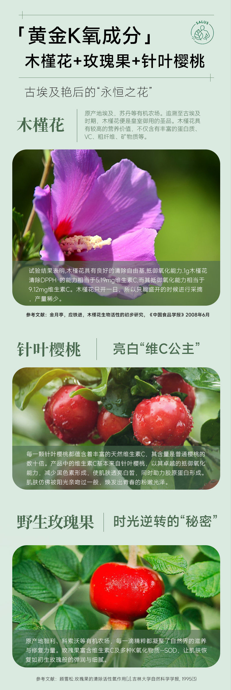 Iron Tonic 20 Sachets×2 Boxes