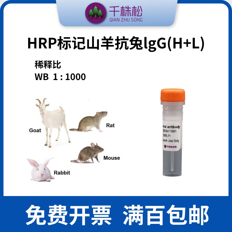 HRP标记山羊抗兔lgG(H+L)，二抗，WB/ELISA/IHC实验