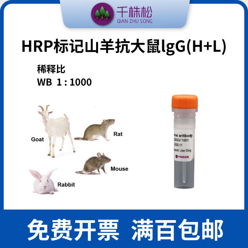 HRP标记山羊抗大鼠lgG(H+L)，二抗，WB/ELISA/IHC实验