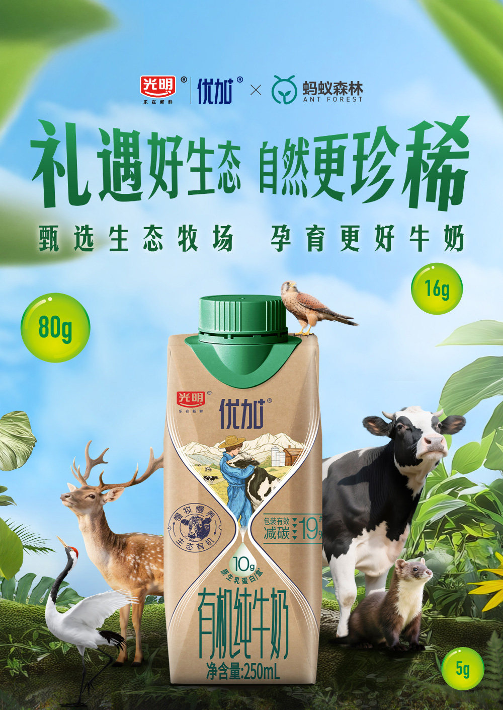 安享好物 安享A级纯奶-光明优加 有机 4.0纯牛奶 国标 