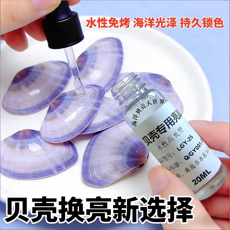 Shell DIY Crafts: Natural Shell Conch Water-Based Varnish, Quick-Drying, Waterproof, Dustproof Varnish, Creative Shell Ornaments