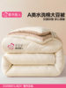 Urban Beauty Soy Fiber Quilt Winter Quilt Thickened 2025 New Cotton Quilt Core Spring and Autumn Quilt Student All-Season Use
