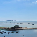 福建海鲜严选的LOGO