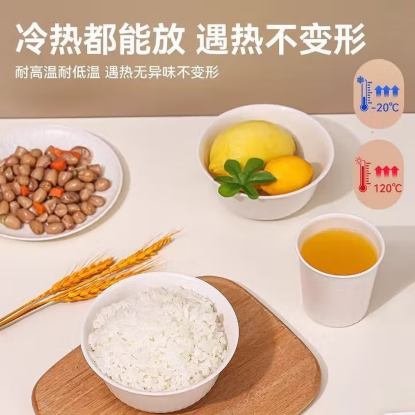 一次性碗家用独立包装厂家直销酒店商用批发餐饮户外汤勺餐具套装