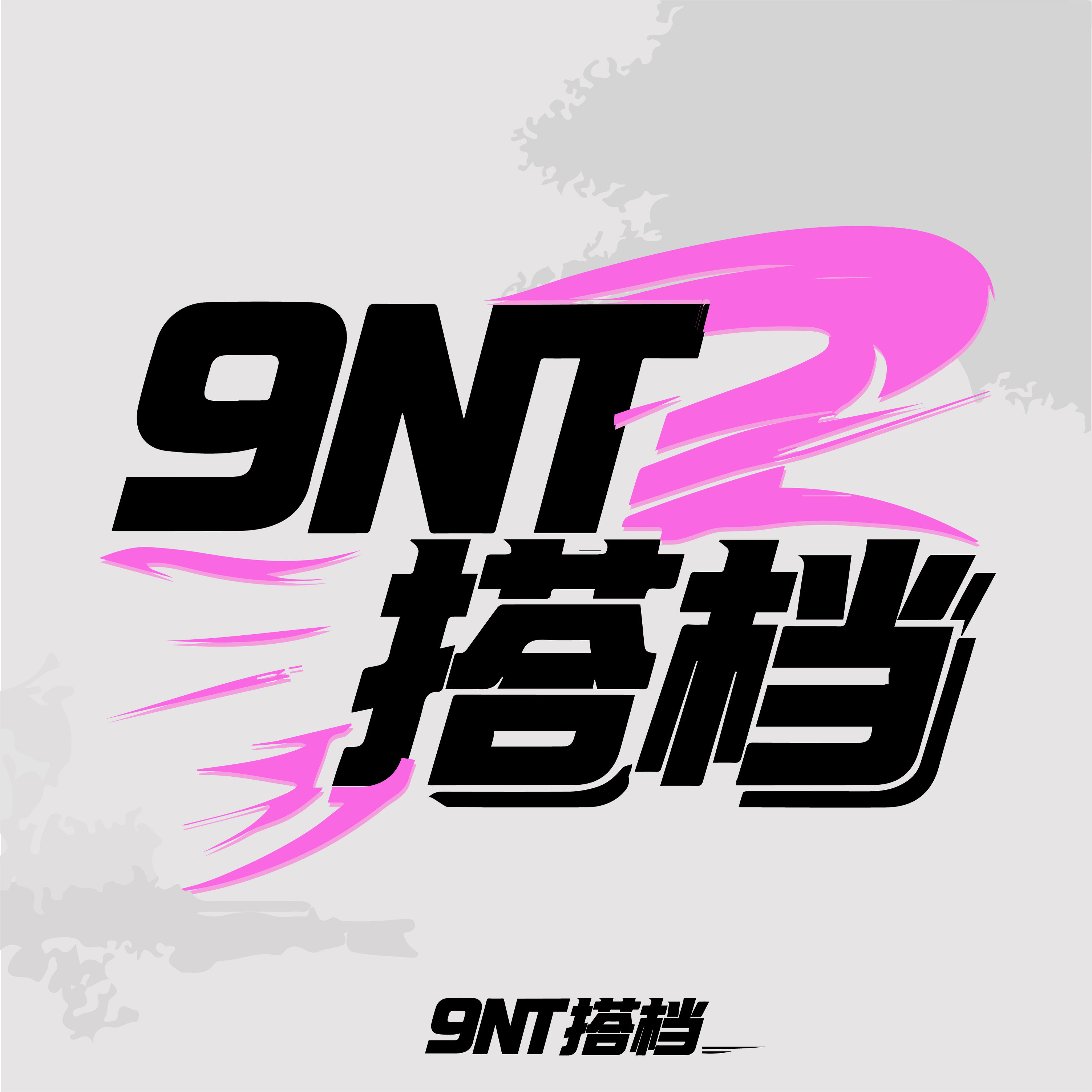9NT搭档汽配的LOGO