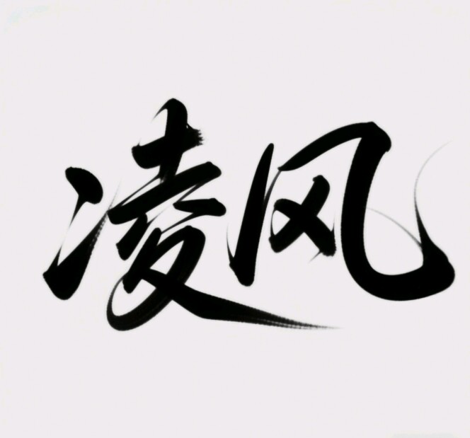 凌风服装店