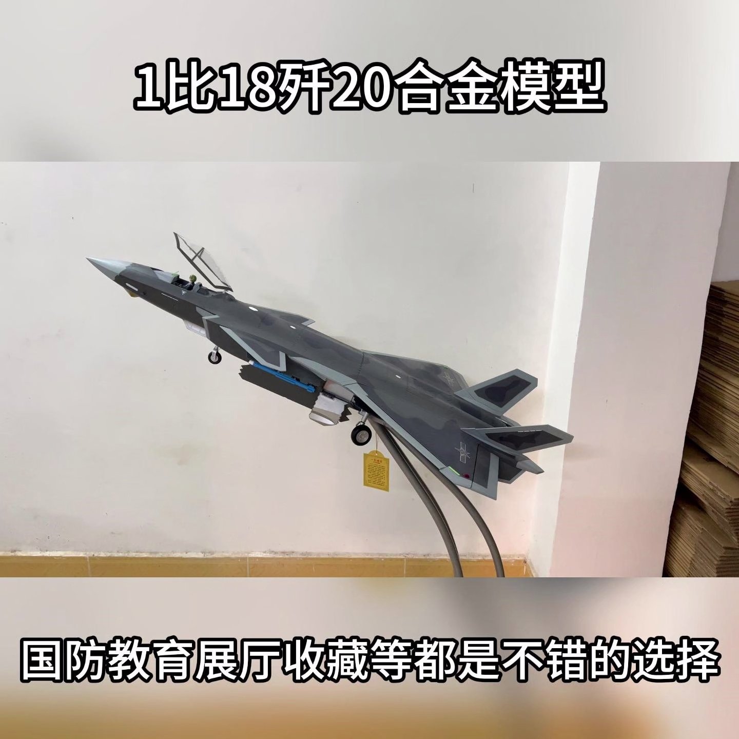 1.2米歼20模型太顶了！我家客厅秒变空军展厅？这波操作值爆了🔥_航模_淘宝游戏网