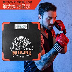 Second Generation Boxing Power Tester Dynamometer Boxing Training Sandbag Smart Wall Target Sandbag Boxing Speed Strength Test Target