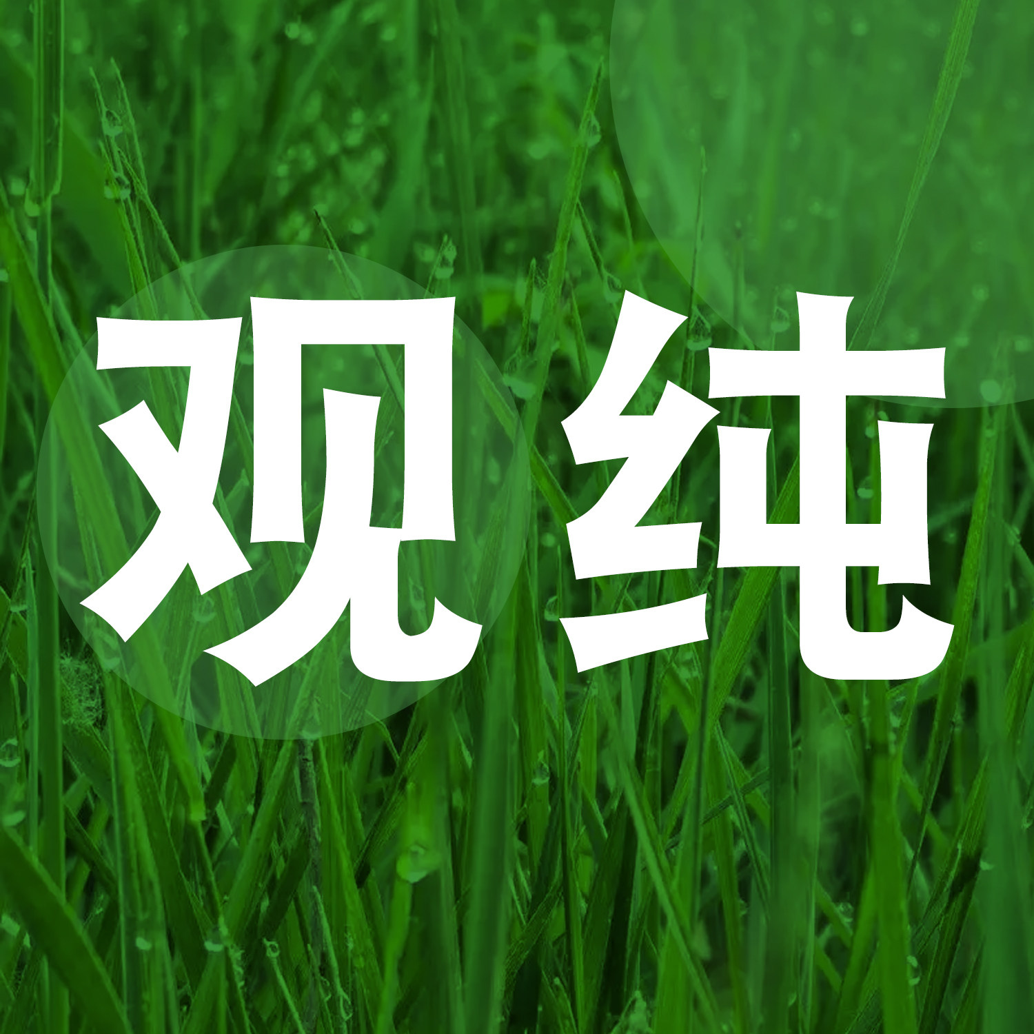 观纯自然之道的LOGO