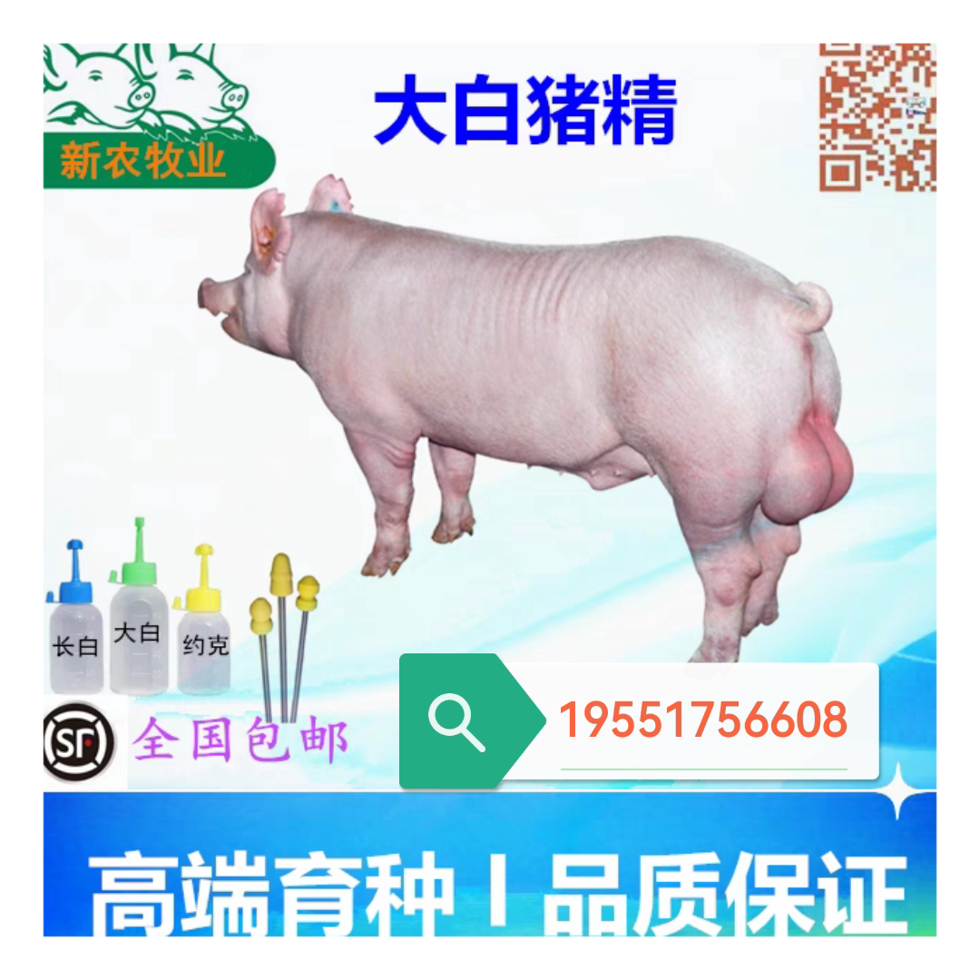 纯种黑金刚猪精苏太猪精40-60毫升2瓶送输精管!真的能提升?这波我必须冲!-配种服务-淘宝好物网