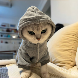 Pet Clothes Fall and winter Hooded Fleece-lined Sweatshirt Cat Muppet German Gold and Silver Gradual Thai Dog Small Size Dogs Clothes