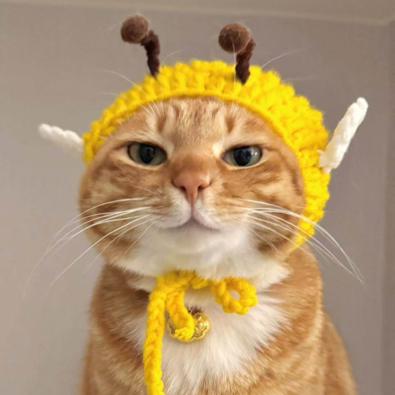 Кошачья шапка с открытыми ушами, милый вязаный головной убор, украшение для фотографий в стиле Лолиты, шерстяная шапка, головные уборы для кошек и собак Изображение 1