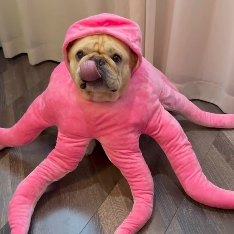 タコのタコの犬の服クリエイティブ面白いぬいぐるみの犬の服cosドレスアップかわいいペットの服