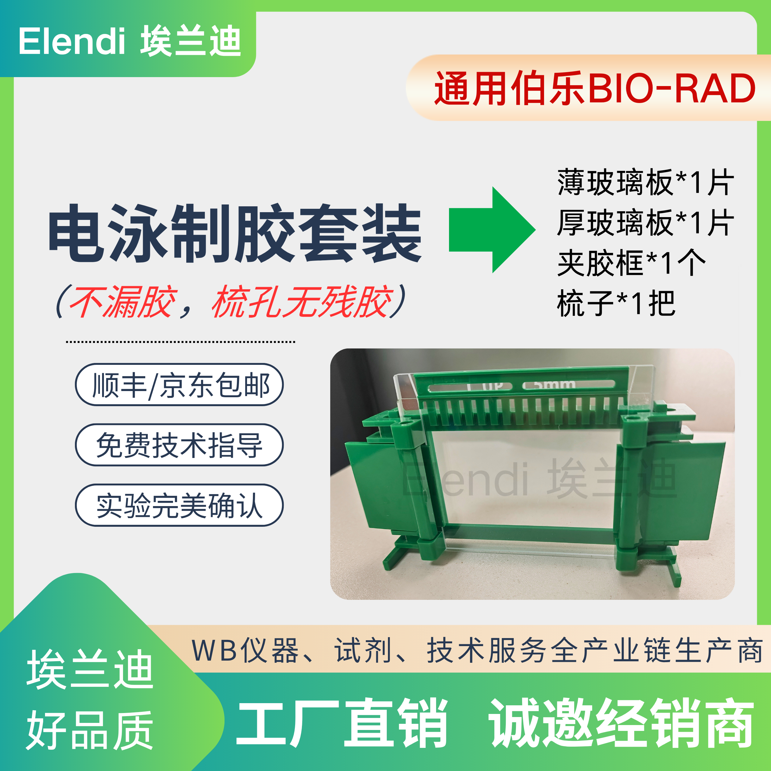 Wb电泳制胶框夹胶框电泳玻璃板电泳梳子通用伯乐