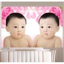 New Year paintings dolls giving birth to children pictures of babies wall stickers preparing for pregnancy male and female twins pregnant women asking for a child a golden boy and a beautiful girl to assist in pregnancy.