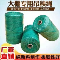 Manufacturer offers agricultural anti-aging hanging vine ropes for hanging vine ropes for greenhouses with plastic ropes for tying vines and vegetables.