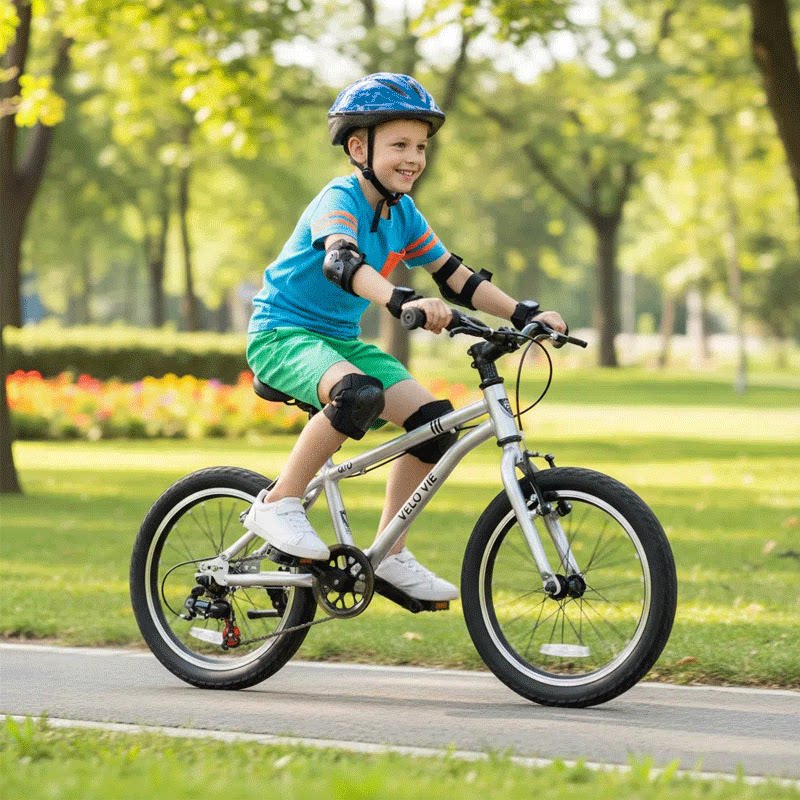 Детский велосипед VeloVie/Wheeler для мальчиков и девочек 3-6-10 лет - Ультралегкие велосипеды для 12-летних детей Изображение 1