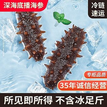 Ready-to-eat wild sea cucumbers authentic liaoning sea cucumbers