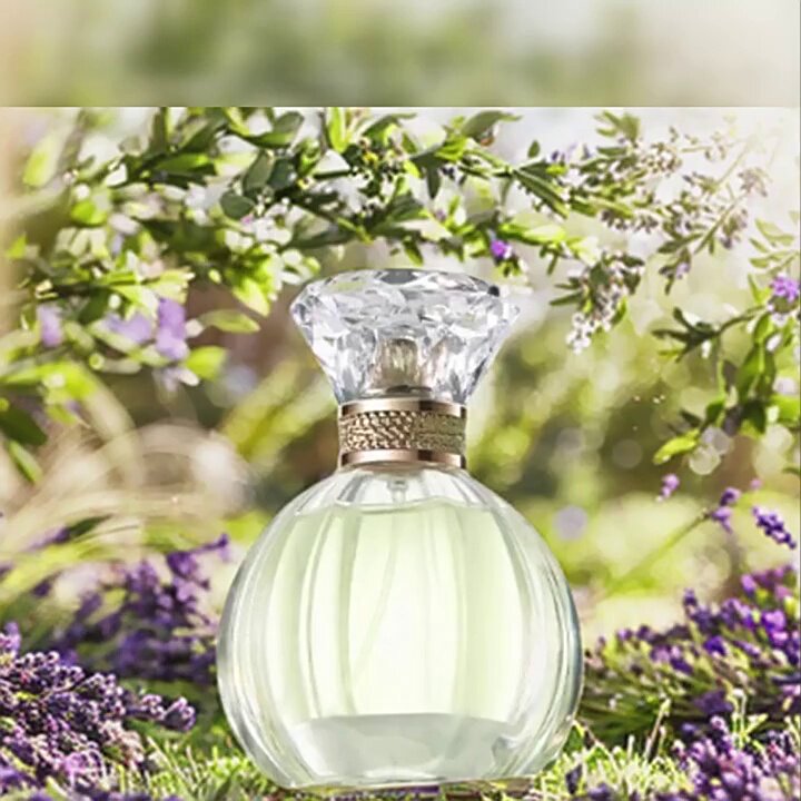 OFFICINE UNIVERSELLE BULY EAU TRIPLE IRIS DE MALTE 香水值得入手吗