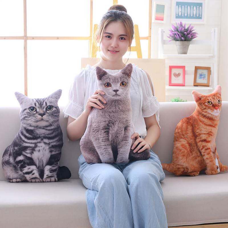 25年必买猫武士周边抱枕!火星松鸦羽藤池狮焰联名款,橘猫控狂喜🔥-智能公仔-淘宝好物网