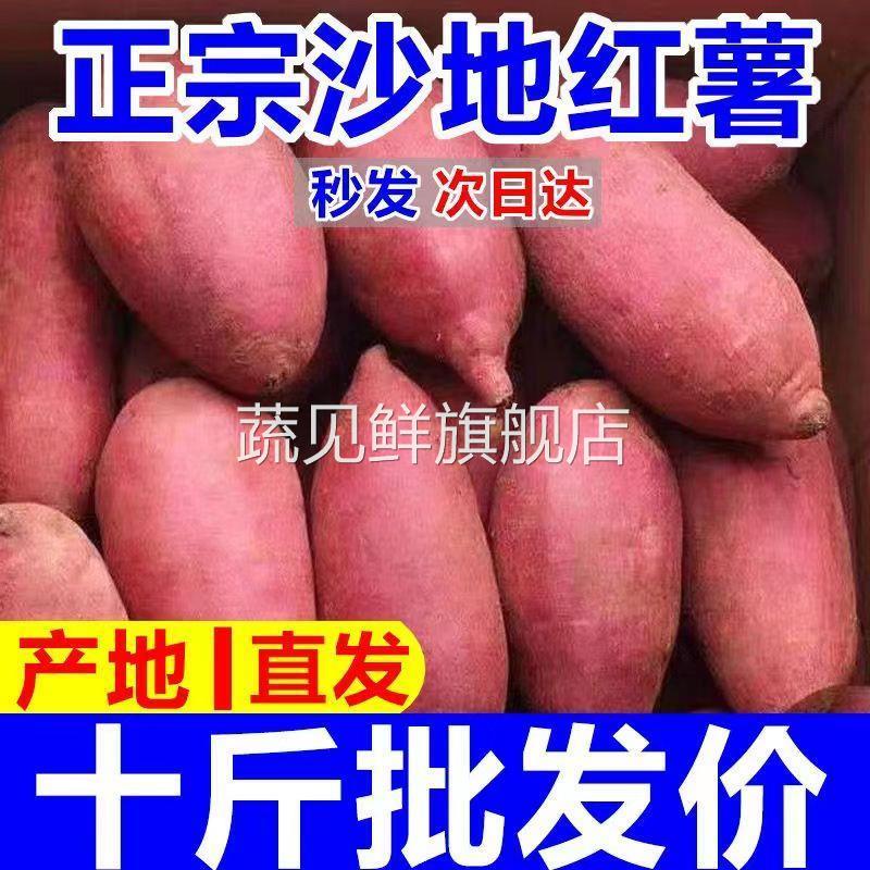 Sandy new chestnut sweet potato 10 pounds freshly dug and found super sweet non-watermelon red honey potato candied chestnut potato fresh sweet potato