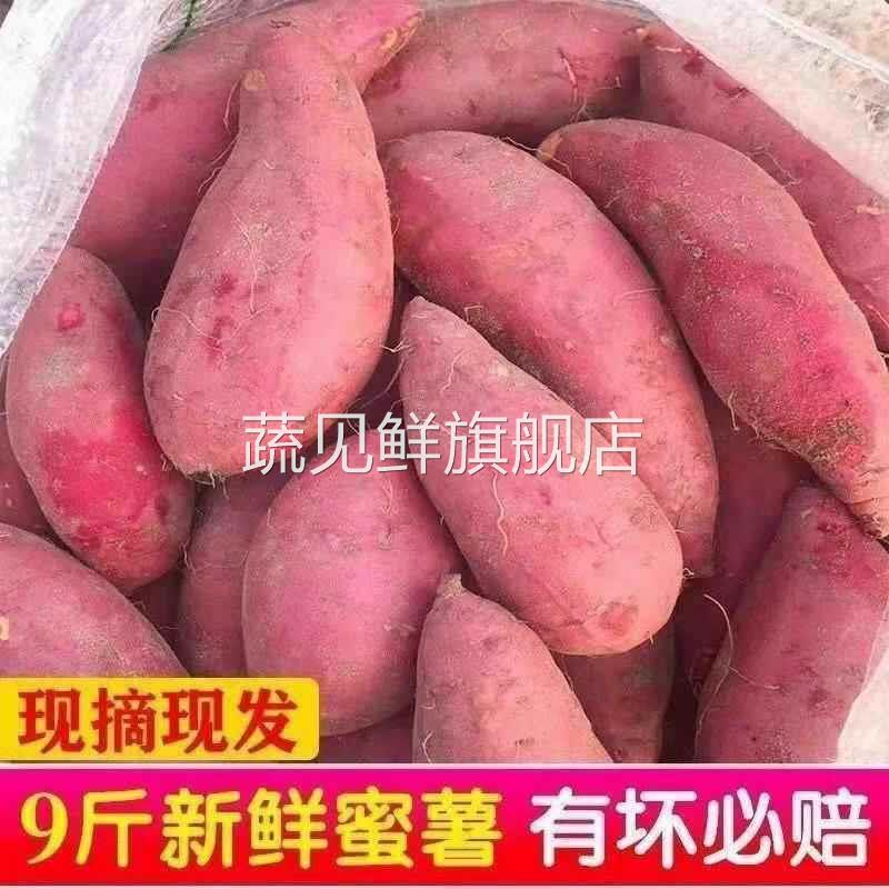 Kaifeng sandy sweet potato, freshly dug sweet potato and sweet potato, super sweet, chestnut and sweet potato flour, soft, sweet and delicious