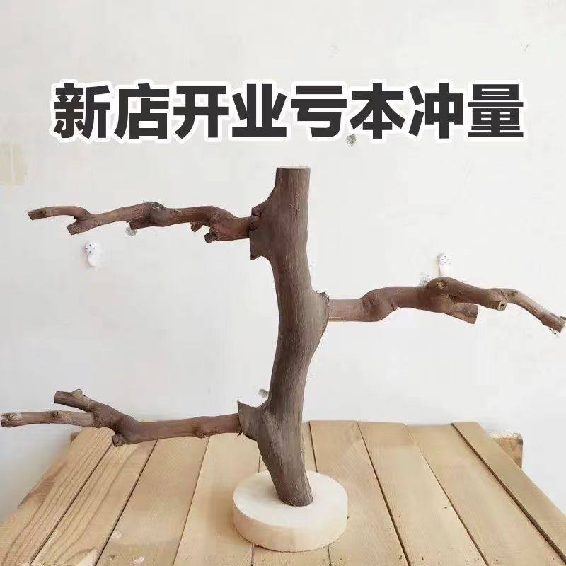 小鸟站架原生态葡萄木树枝树干玄风小太阳鹦鹉枣木鸟站杆树枝造景有何特别之处?-兔兔草架-淘宝好物网