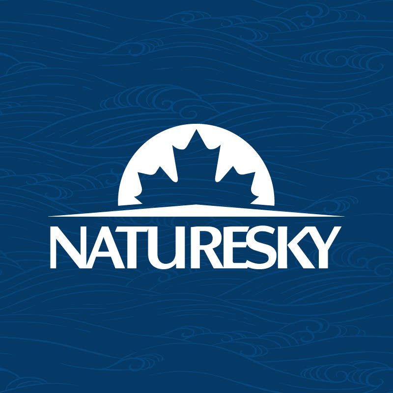 NATURESKY旗舰店的LOGO