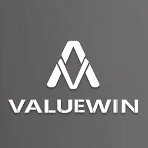 VALUEWIN旗舰店的LOGO