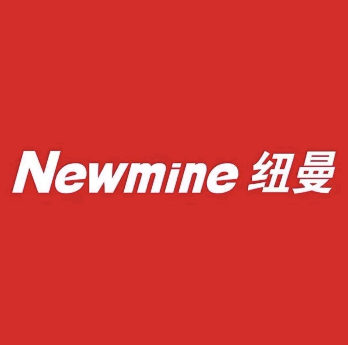 Newien数码的LOGO