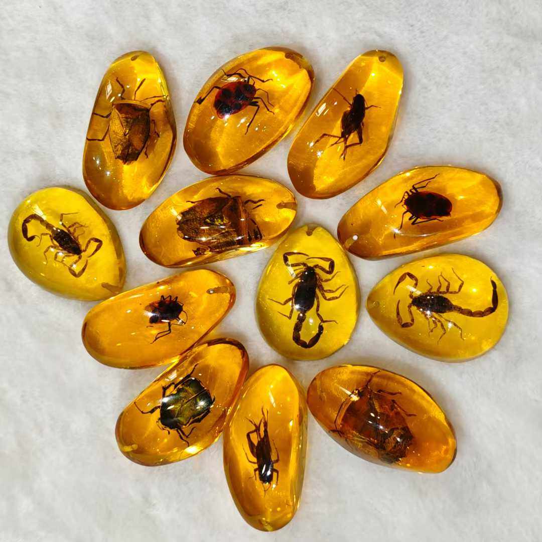 琥珀の昆虫標本、小学校の教科書に載っているような人気科学昆虫の琥珀樹脂製装飾品、蝶やカニをモチーフにしたクリエイティブなペンダント、子供向けギフト。