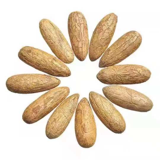 High-quality new fruit Thousand Eyes Bodhi Seed Bodhi Original Seed Large Fruit Raw Material Green White Wenwan Hand-held Fat Fruit