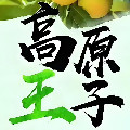 蜀西奇胜企业店
