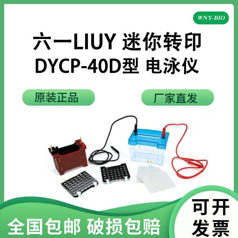 维宁雅六一LIUYI通用型转印电泳DYCZ-40D迷你转移电泳槽通用型及转移孔板配件