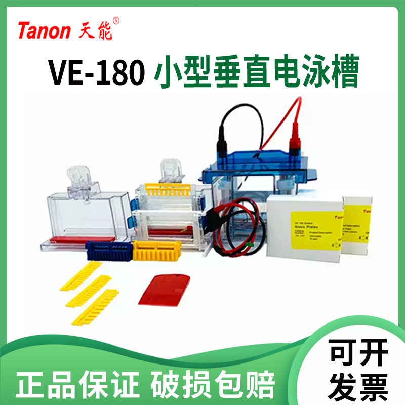 Tanon天能VE-180PAGE电泳玻璃板 薄板1.0mm 1.5mm 蛋白电泳槽 小型垂直电泳槽原装配件SDS-PAGE 电泳装置