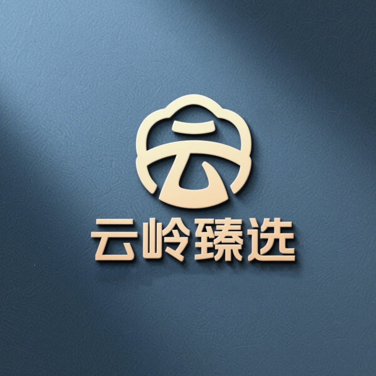 云岭臻选的LOGO