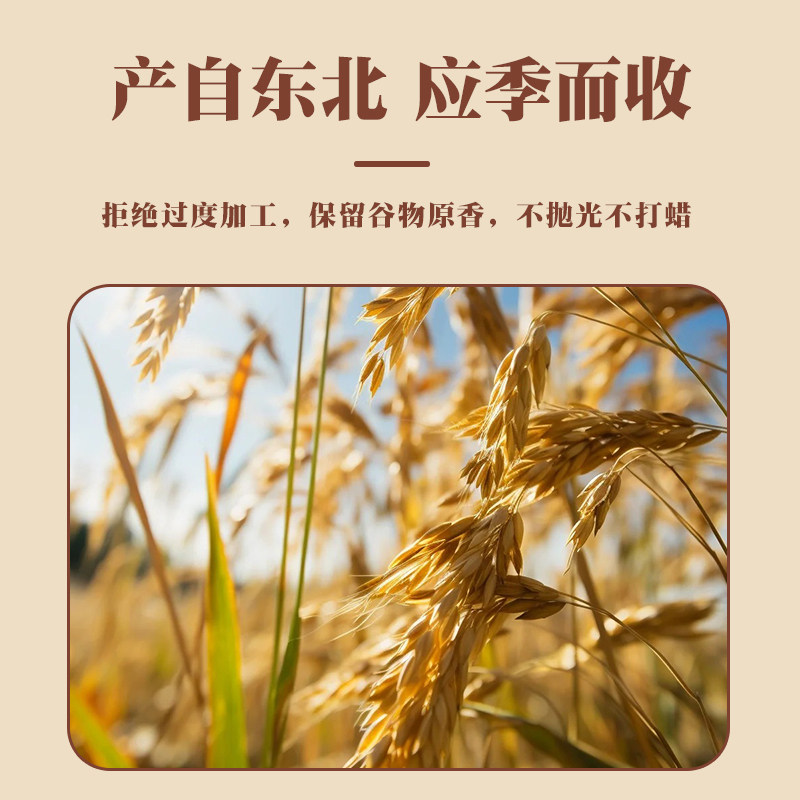 如何挑选适合自己的燕麦胚芽米？