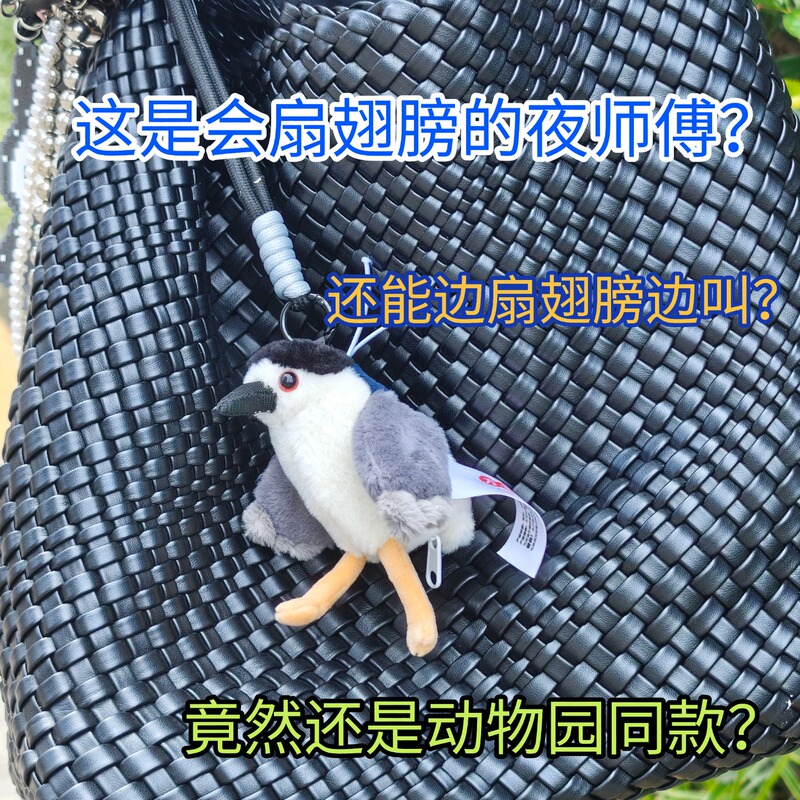 Birds Electric Flapping Wing Sound-Making Toy Pendant Night Heron Night Heron Parrot Seagull Pelican Birdwatcher Exclusive Item