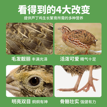 Weibi rutin chicken egg-laying feed ludin chicks mixed vegetable grains open-grain bird food